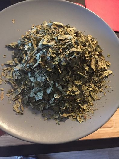Dream Herb - Calea Zacatechichi  (40 grams, dried leaf)