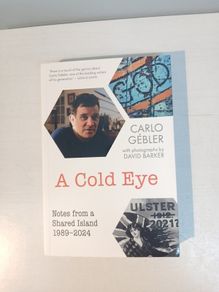 A Cold Eye - Notes from a Shared Island by Carlo Gebler