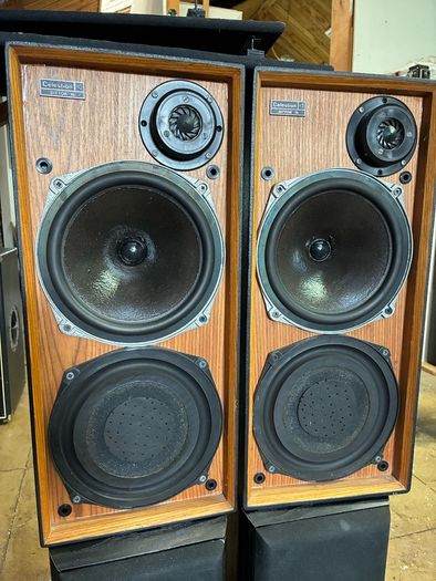 Celestion Ditton 15