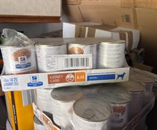 dog food