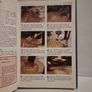 Home Handyman.Brickwork and masonry Image 3