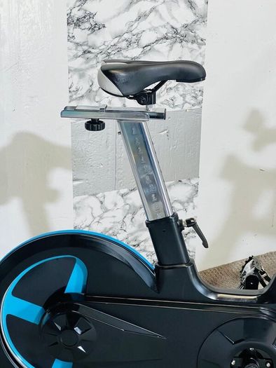 Large 20kg Wheel Bodymax Exercise Bike Life Time