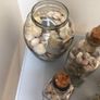 Sea shells in bottles Image 5