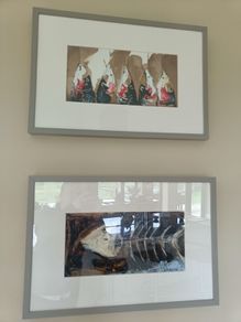 Fish paintings 63cm w x 43 h