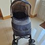 Buggy Image 6
