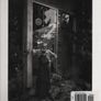 The Portfolios Of Ansel Adams. Image 2