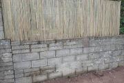 Bamboo screening for fence