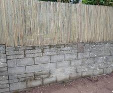 Bamboo screening for fence