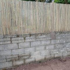Bamboo screening for fence
