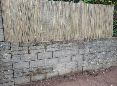 Bamboo screening for fence