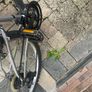 MTB Ridge bike Image 3