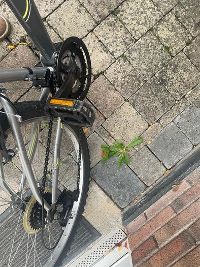 MTB Ridge bike