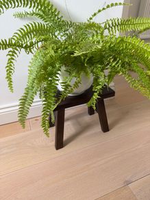 Zara Home Acacia wood small stool