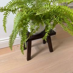 Zara Home Acacia wood small stool