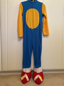 Sonic the Hedgehog costume
