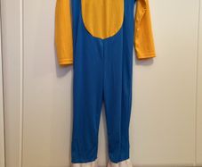 Sonic the Hedgehog costume