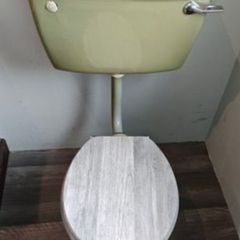 toilet