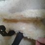 Tendon Boots Image 7