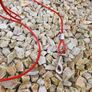 dog tie out cable Image 3