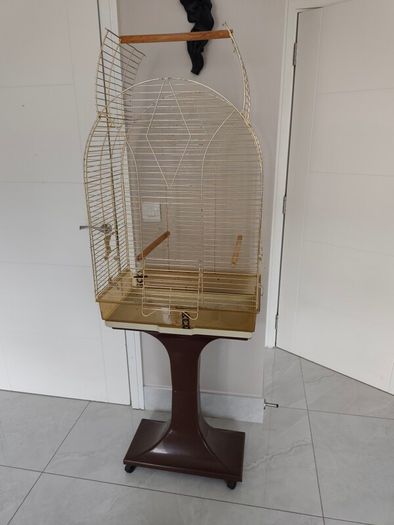bird