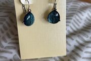 Deep blue earrings