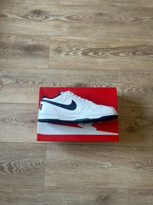 Big Nike Lows