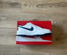 Big Nike Lows