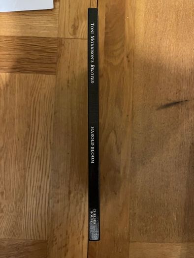 Harold Bloom Modern Critical Interpretations Book Collection