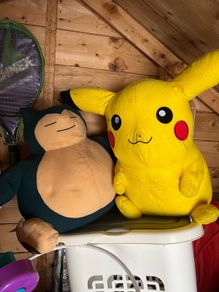 pokemon teddys
