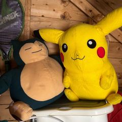pokemon teddys