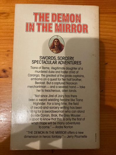 Fantasy book:The Demon In The Mirror'