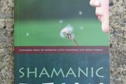 Shamanic Reiki, Paperback book,Free post, New, Non fiction