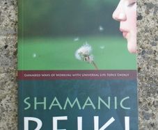Shamanic Reiki, Paperback book,Free post, New, Non fiction