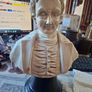 Large Bust of a Man Postage Available or Collection is always welcome and Recommended in Rochfortbridge Westmeath Image 2