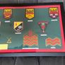 Irish Army Badge Collection Framed Image 6