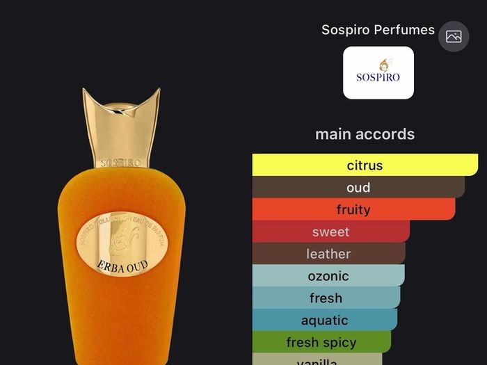 Sospiro Erba Oud 100ml