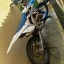 2022 Tm125mx Image 4