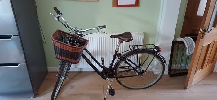 Liv by Giant vintage-style city bike