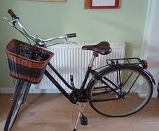 Liv by Giant vintage-style city bike