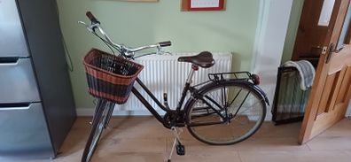 Liv by Giant vintage-style city bike