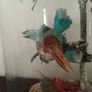 Taxidermy Bird Diorama Image 6
