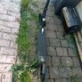 Scooter Image 9