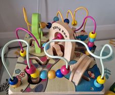 Zany Zoo wooden toy cube