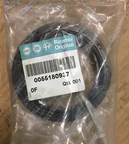 Rear Crank Oil Seal (Fiat 1.3 MJTD)