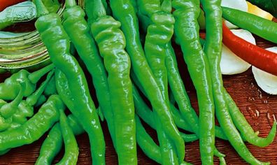 (P) Paprika Lombardo seeds 0.1g (110995)
