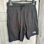 The North Face Shorts Image 3