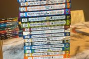 Diary of a wimpy kid