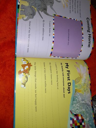 Elmer Baby record book