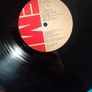The Swarbriggs LP - Greatest Hits Image 4