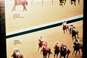 1984. Coolmore Stallions For 1984.